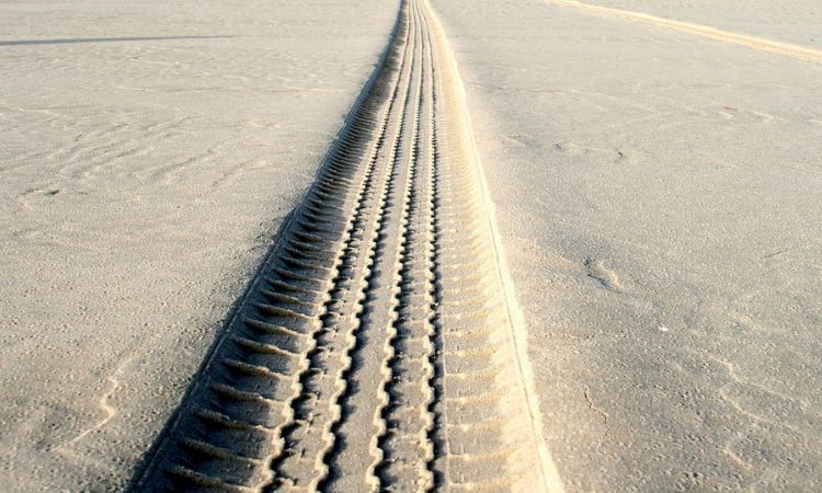 South Carolina to launch campaign against unsanctioned scrap tire dumping